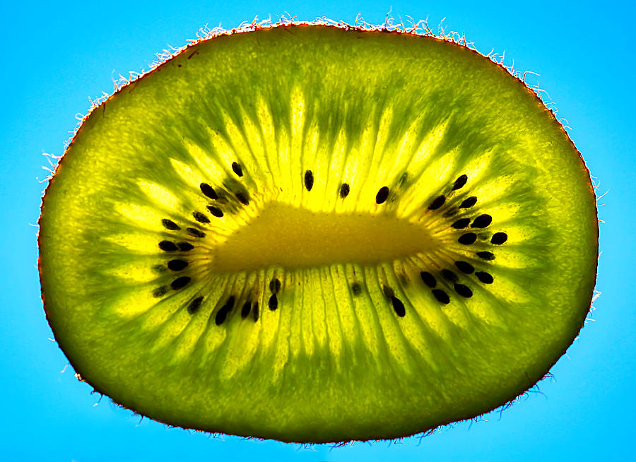 Slice of Divine Green Kiwi Fruit Photograph by Tracie Schiebel