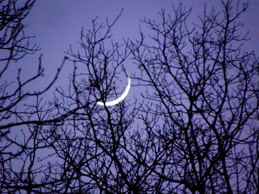 Sliver Moon Photograph by Kim Galluzzo Wozniak