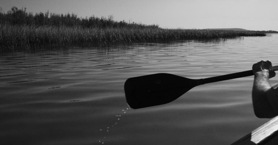Slow Paddle Photograph by Ellery Russell