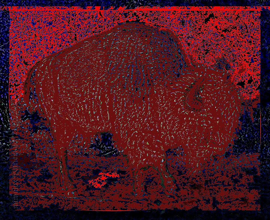 Slumbering Red Digital Art by Mimulux Patricia No