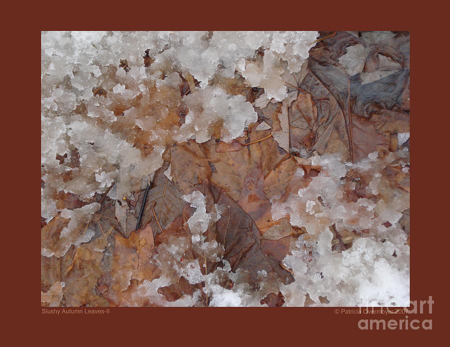 Slushy Autumn Leaves-II Photograph by Patricia Overmoyer
