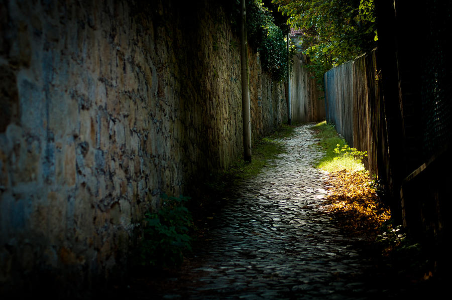 Small alley in Hildesheim Photograph by Gabi Fischer - Fine Art America