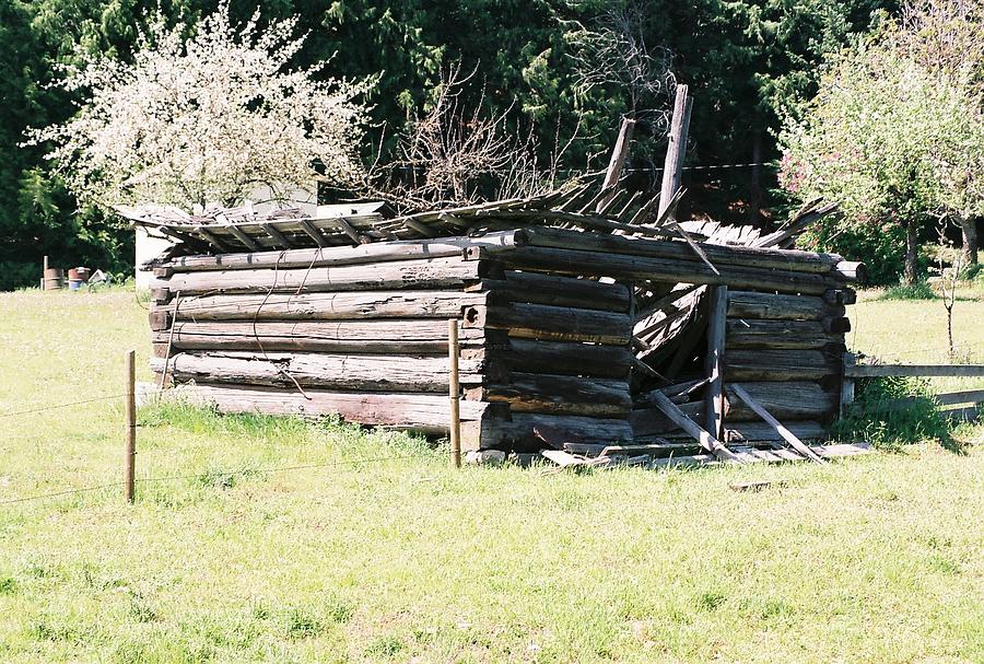 Small Cabin 4 Rent Photograph By Larry Coles