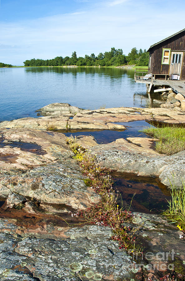 Small Cove in Sweden Photograph by Micah May
