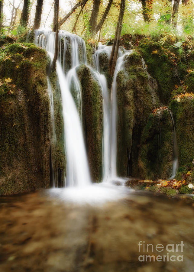 Thanksgiving Photograph - Small forest waterfall by Sergey Korotkov