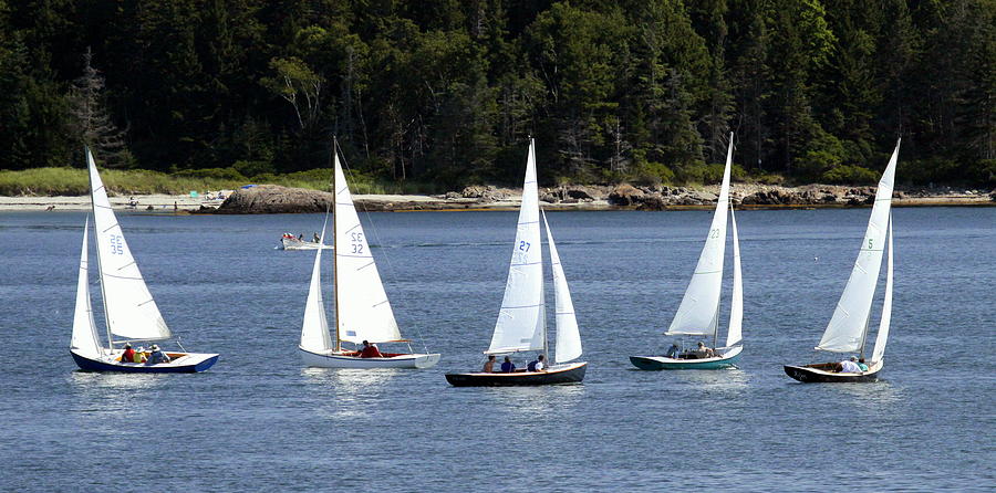 small point one design sailboat