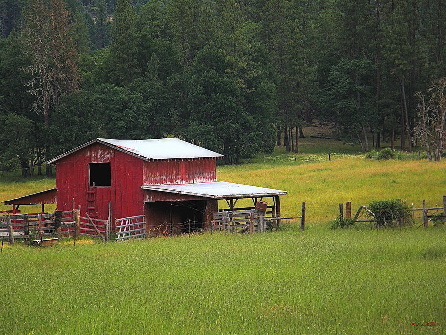Small Red Barn Photograph by Wendy McKennon