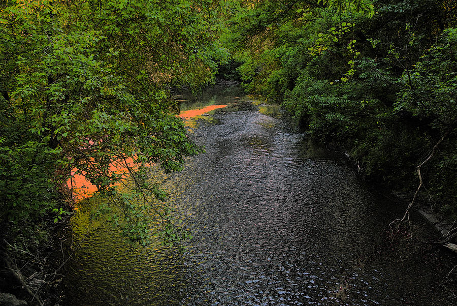 Small river Photograph by Dragan Kudjerski