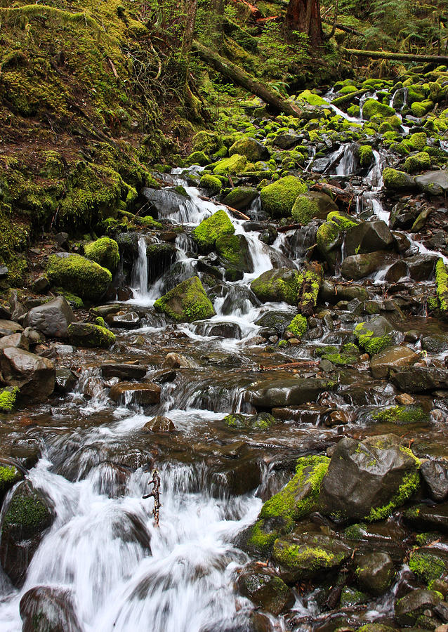 Small Waterfall Photograph by Mark Alder