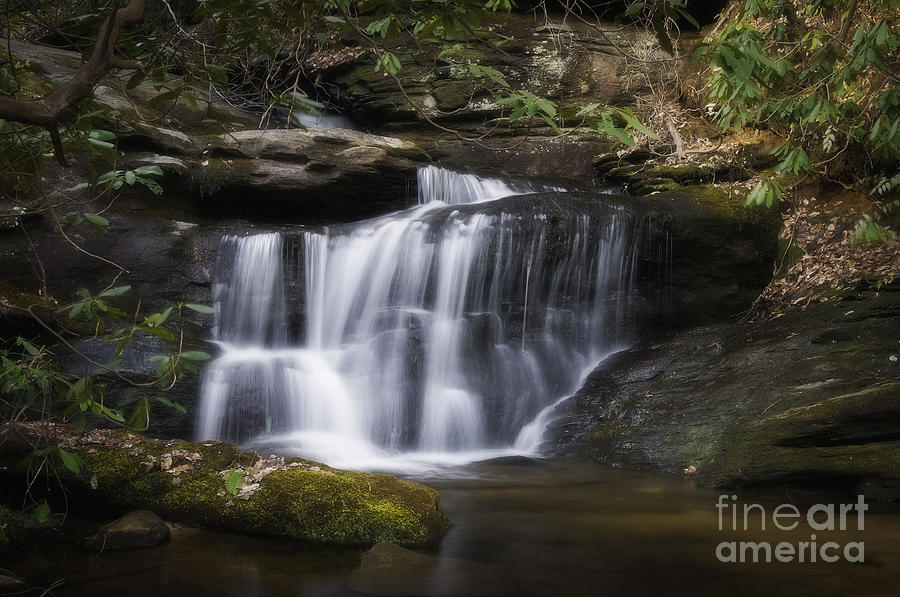 Small Waterfall Slicum Creek Photograph by David Waldrop