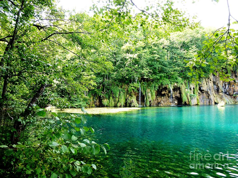 Smaragd Plitvice Lakes Croatia Photograph by Amalia Suruceanu