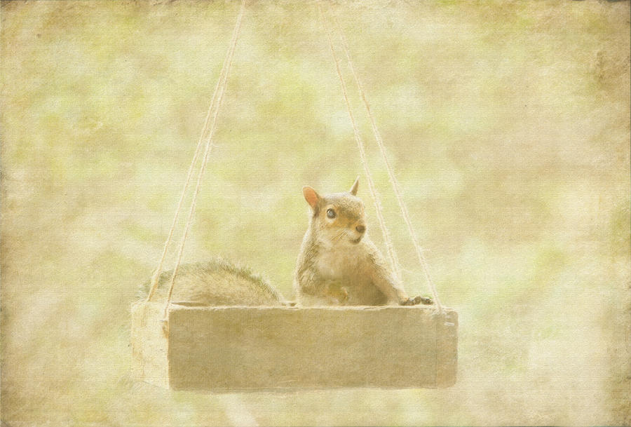 Squirrel Mixed Media - Smile  It Looks Good On You by Dottie Dees