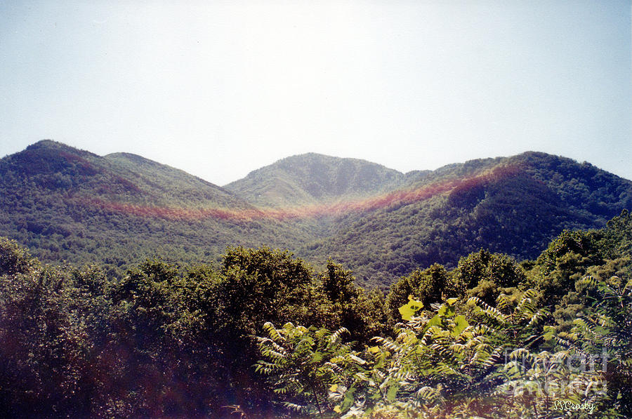Smiling Rainbows in the Smokies Photograph by Susan Stevens Crosby