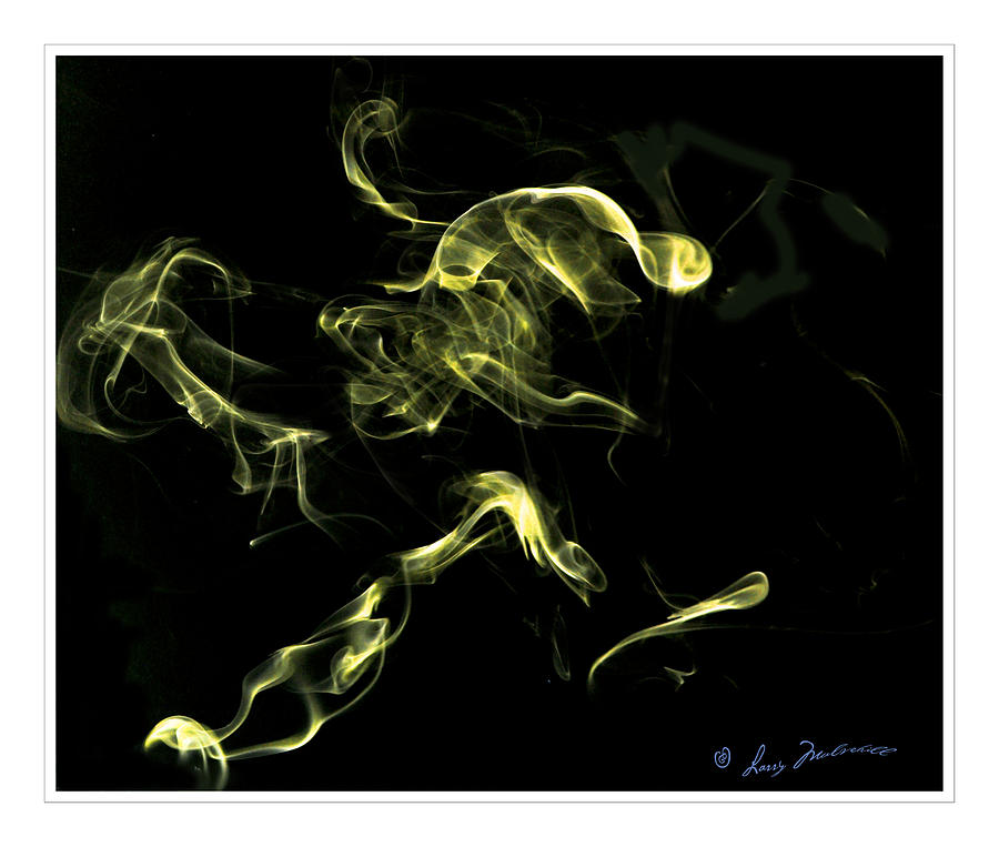 Smoke Dog Photograph by Larry Mulvehill