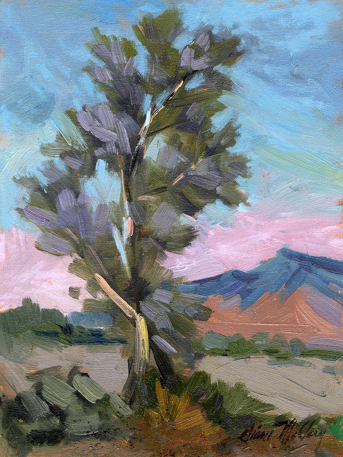 Smoketree Overcast Light Painting by Diane McClary
