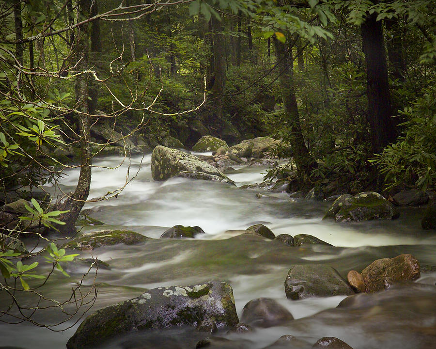 Nature Photograph - Smokey Mountain Stream No.326 by Randall Nyhof