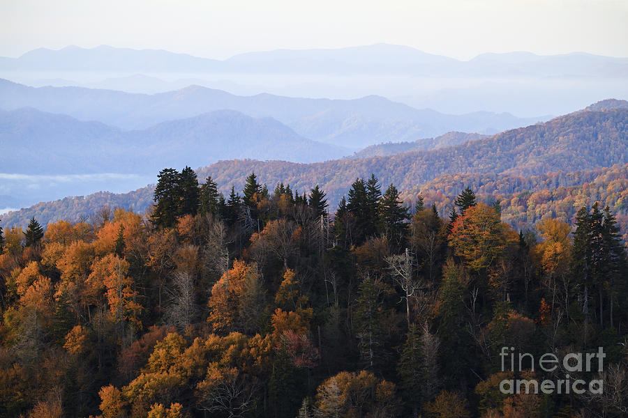 Smoky Mountain Autumn Photograph by Dennis Hedberg