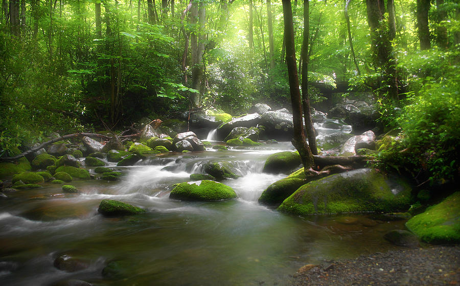 Smoky Mountain Stream Photograph by Cindy Haggerty