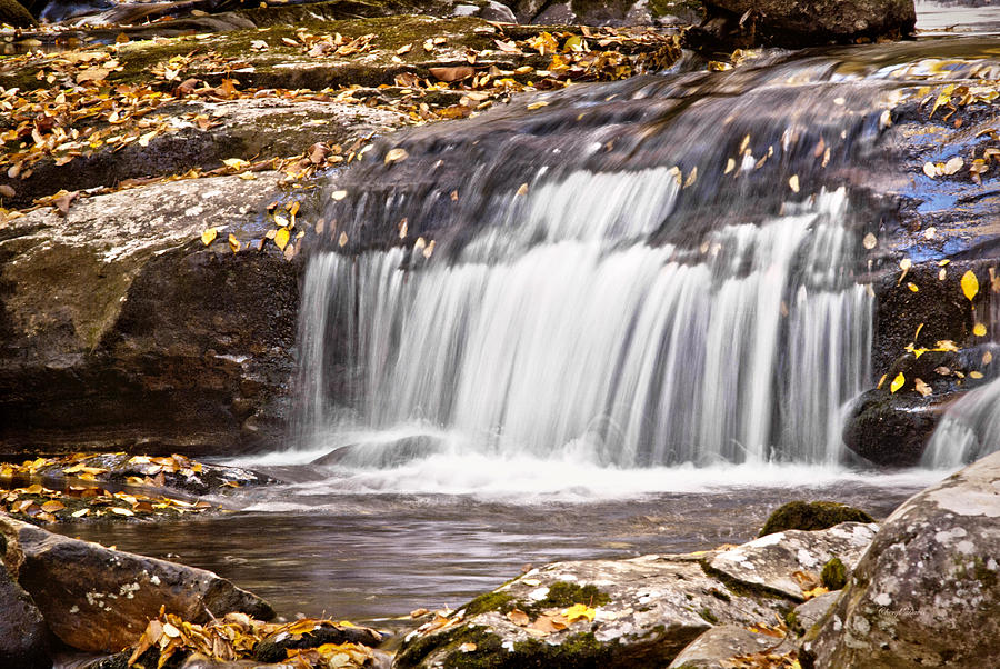 Smoky Mountain Waterfall Photograph By Cheryl Davis Fine Art America