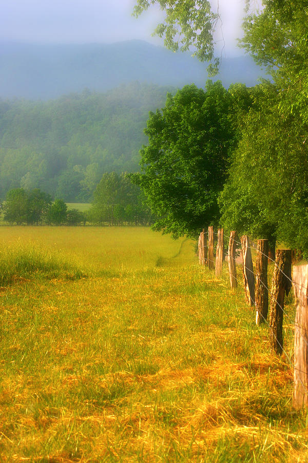 Smoky Mountains Cades Cove Photograph by Cindy Haggerty