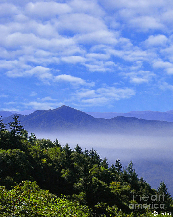 Smoky Mountains Digital Art by Lizi Beard-Ward