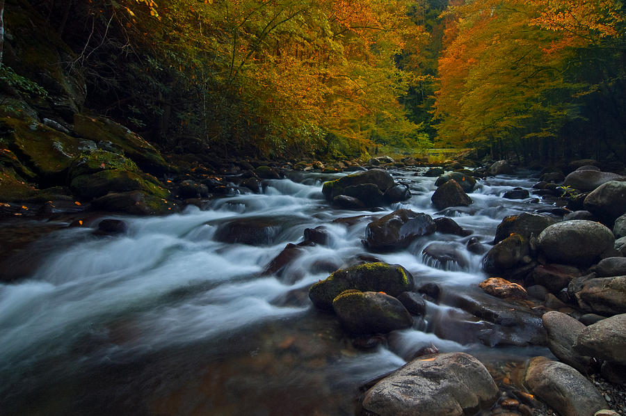 Smoky Mountains Stream Photograph By Ron Sloan Pixels