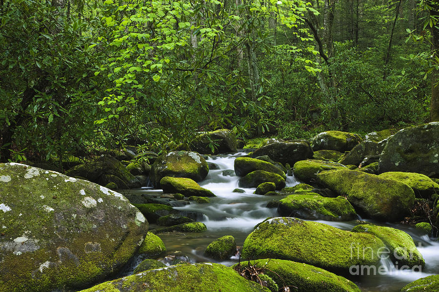Smoky Mountains Waterfall Photograph by Dennis Flaherty and Photo Researchers