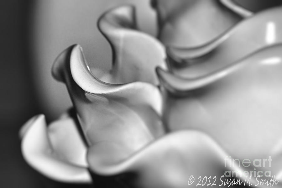 Still Life Photograph - Smooth Curves by Susan Smith
