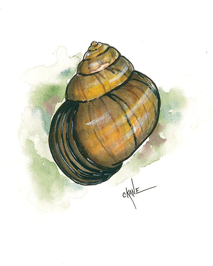 Nature Painting - Snail Home Back by Christine Camp