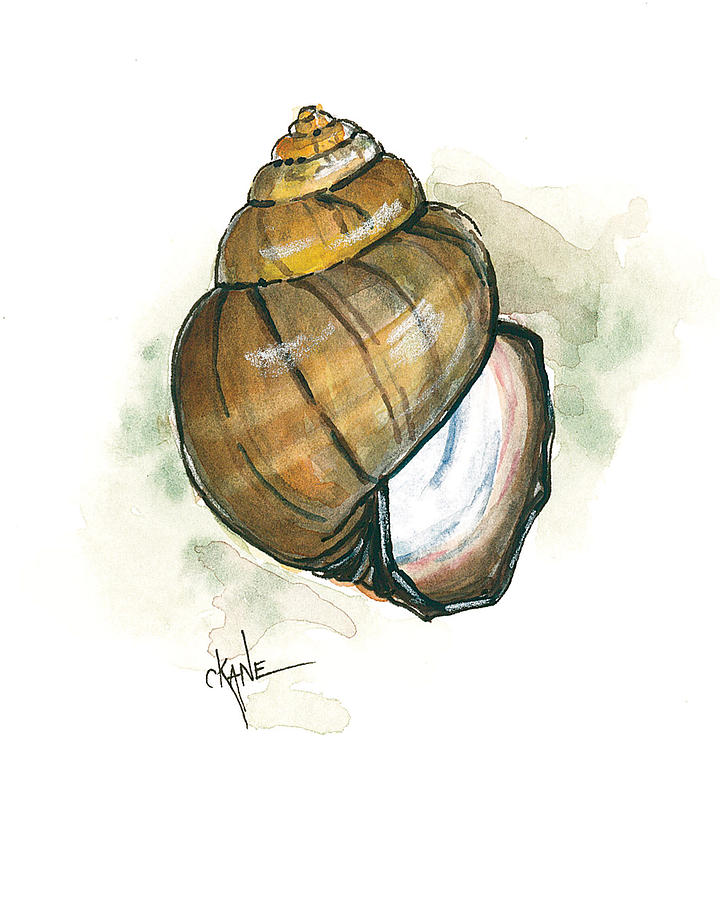Nature Painting - Snail Home Front Door by Christine Camp