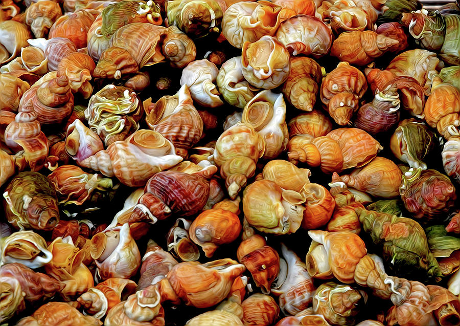 Snails At A French Market Photograph by Dave Mills