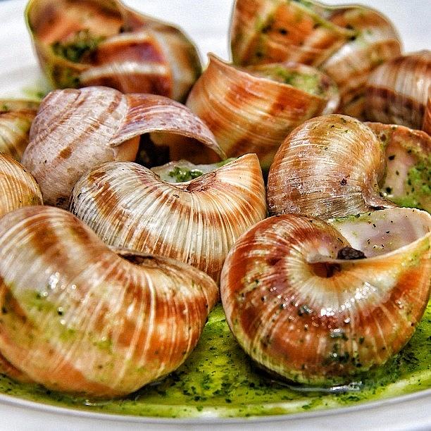 Yum Photograph - Snails With Pesto & Garlic Butter For by Carl Milner