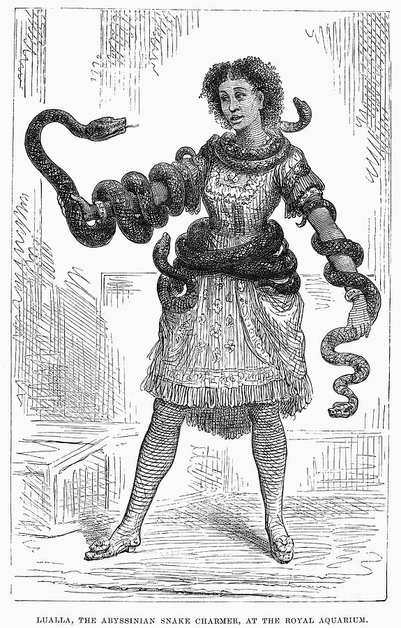 Snake Charmer, 1878 Photograph by Granger