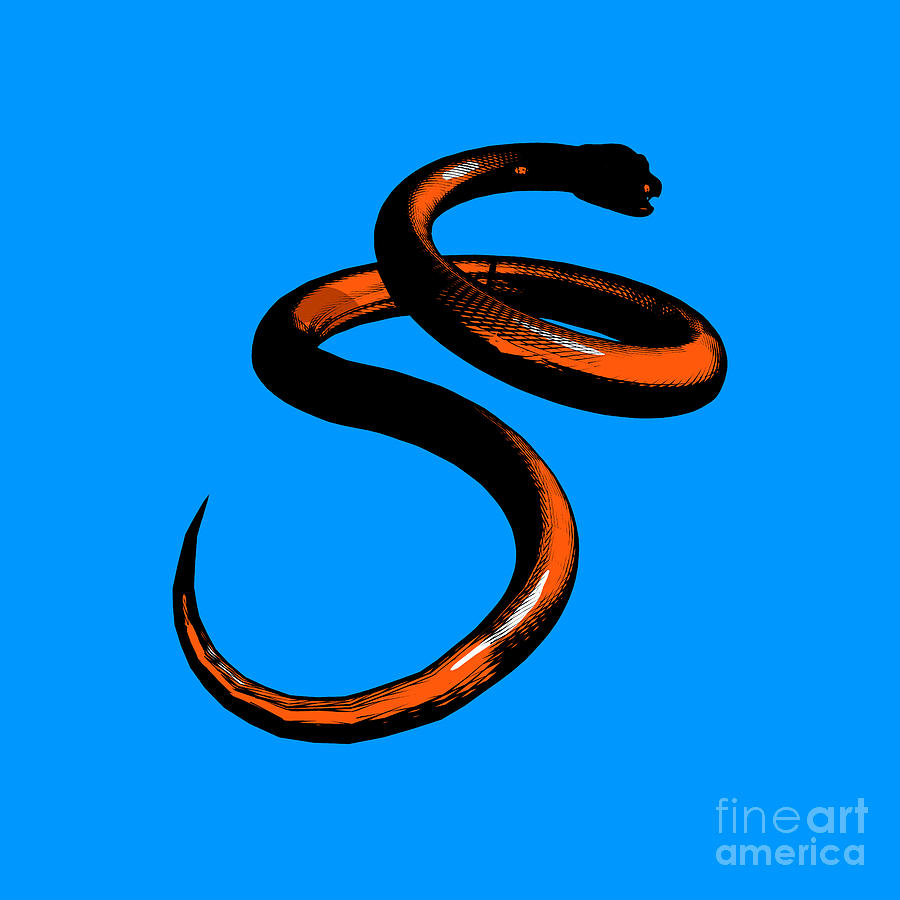 Snake Graphic Photograph