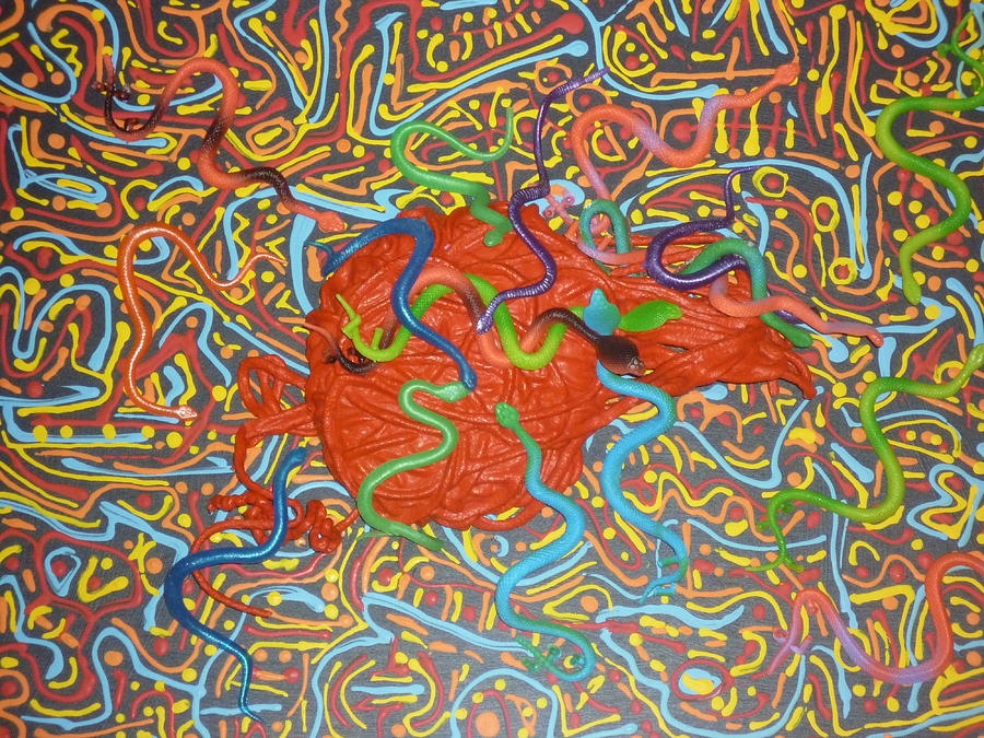 Snake Pit Mixed Media by Douglas Fromm
