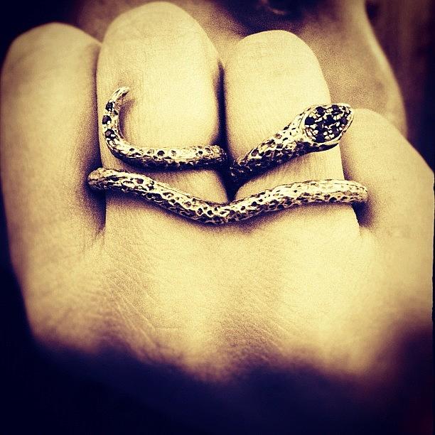 Snake Photograph - #snake #ring i Remember A Story About by Federica Felici