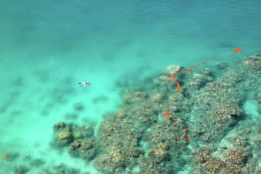 Snorkeling At Honolua Bay Photograph