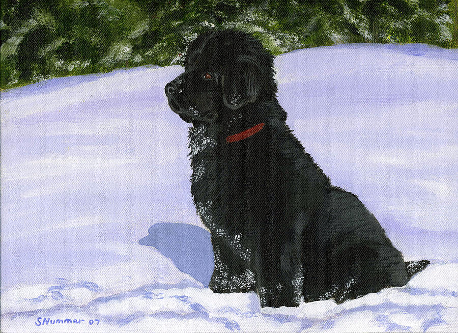 Nature Painting - Snow Baby by Sharon Nummer