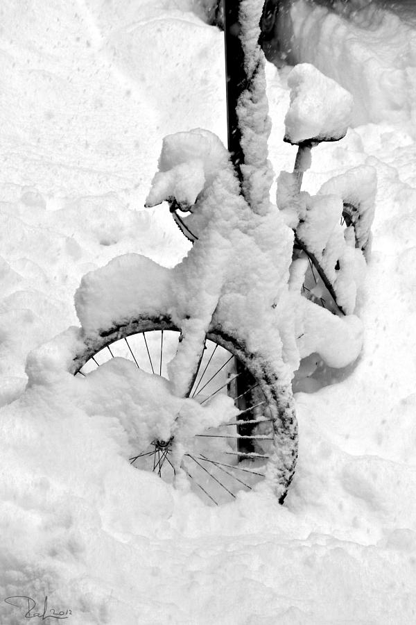 Snow bicicle Photograph by Raffaella Lunelli