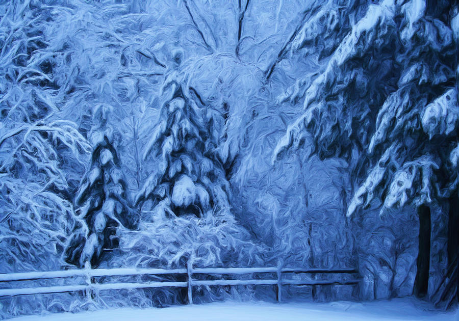 Snow Blanket at Twilight Photograph by Liz Evensen