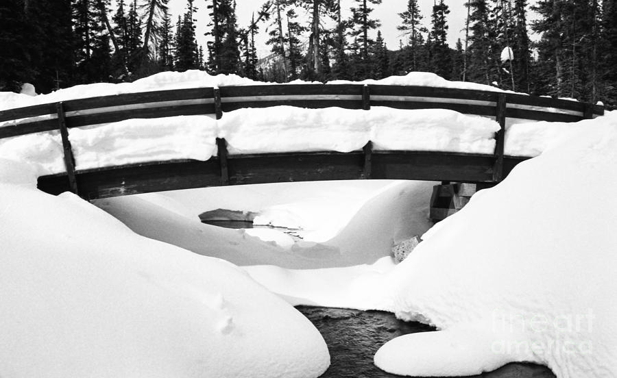 Snow Bridge in Canadian Rockies Photograph by Darcy Michaelchuk
