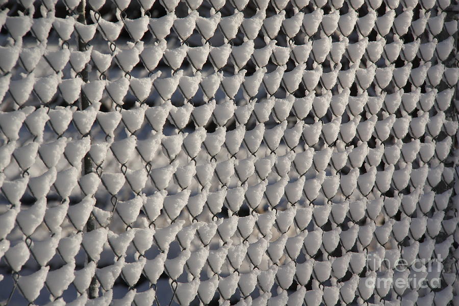 Snow cones Photograph by Yumi Johnson