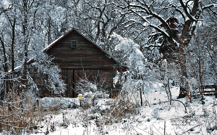 Winter Photograph - Snow Covered Barn by Ed Peterson