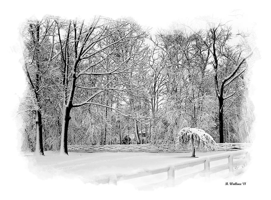 Snow Covered Photograph by Brian Wallace