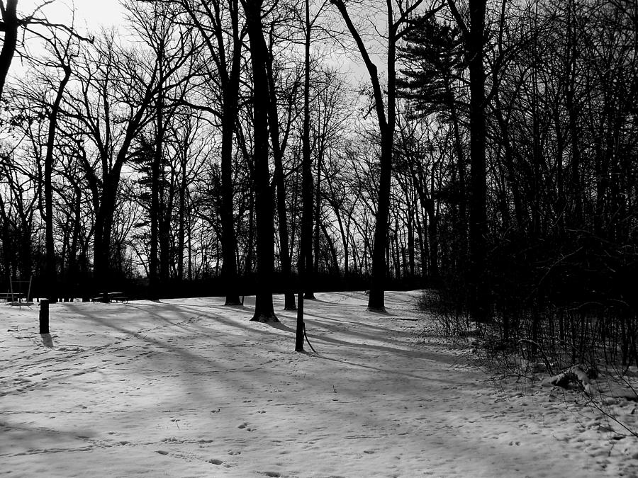 Snow Covered in Black and White Photograph by Corinne Elizabeth Cowherd