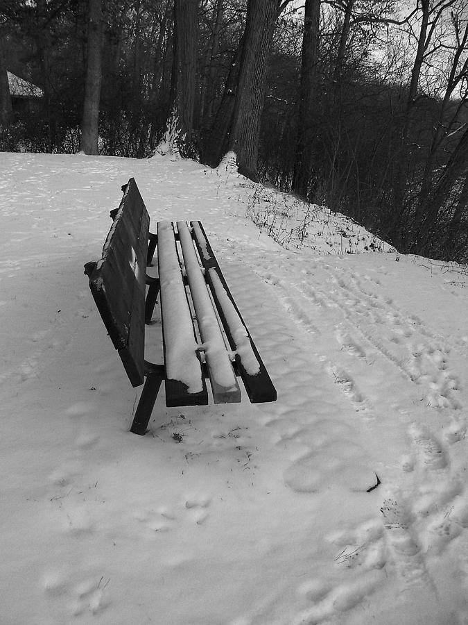Snow Covered Park Bench in Black and White Photograph by Corinne Elizabeth Cowherd