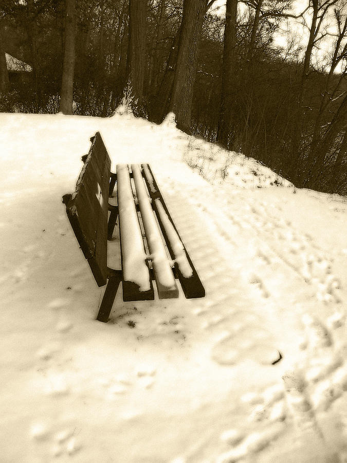 Snow Covered Park Bench in Sepia Photograph by Corinne Elizabeth Cowherd
