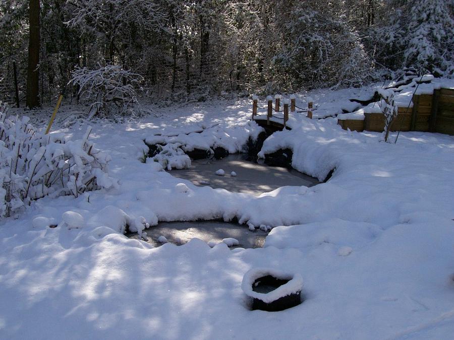 Snow Covered Pond Photograph by David Flythe