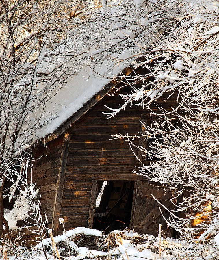 Snow Covered Shed Photograph by Ed Peterson