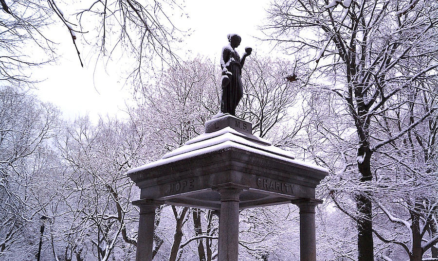 Snow covered Temperance Memorial Fountain New York City Photograph by Tom Wurl